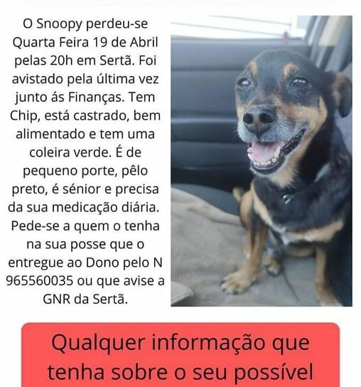 ATUALIZAÇÃO- ENCONTRADO