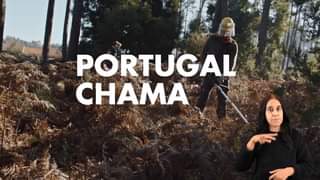 Até 30 de abril estão a decorrer os prazos para limpeza dos terrenos, numa faixa