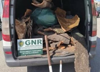 Dois detidos por furto de 240kg de cortiça em Castelo Branco