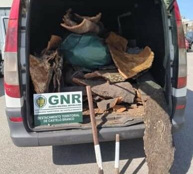 Dois detidos por furto de 240kg de cortiça em Castelo Branco