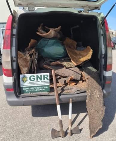 Dois detidos por furto de 240kg de cortiça em Castelo Branco