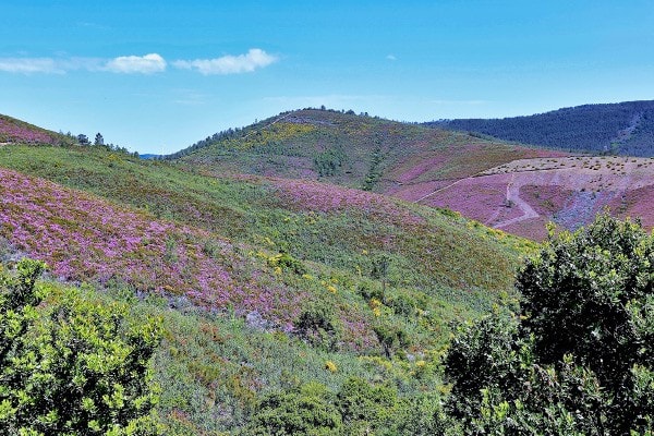 Festival Primavera na Serra da Malcata