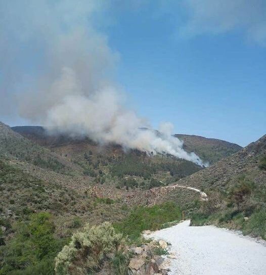 Incêndio em curso na Guarda
