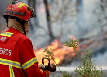 Incêndio florestal em Alcaide
