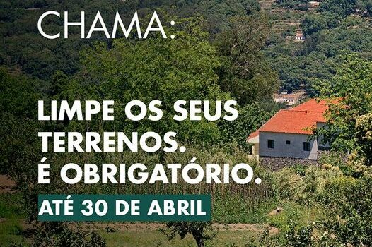Limpeza dos terrenos até 30 de abril