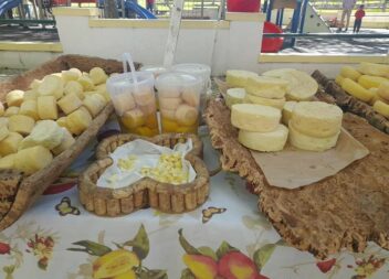 Produtos da Terra a decorrer na Sertã
