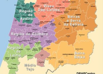 Região Centro tem 104 empresas 'gazela' que geram volume negócios de 1.096 milhõ