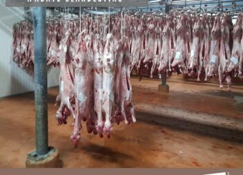 ASAE instaura processo-crime por abate clandestino em Portalegre