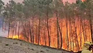 Atualização do grande incêndio em Cáceres