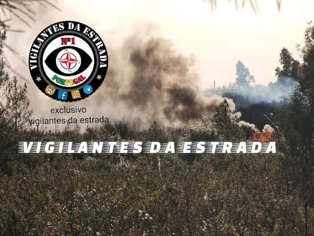 Carro ardeu na A23