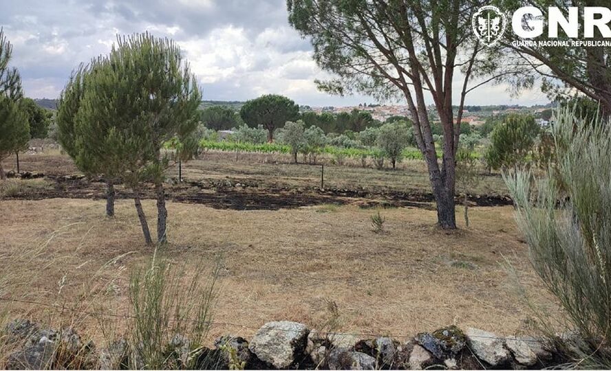 Detido por incêndio florestal em Seia