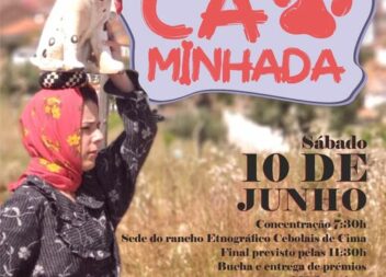 Feriado do 10 de Junho com cãominhada nos Cebolais de Cima