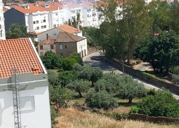 Fogo em terreno descampado resolvido em Castelo Branco