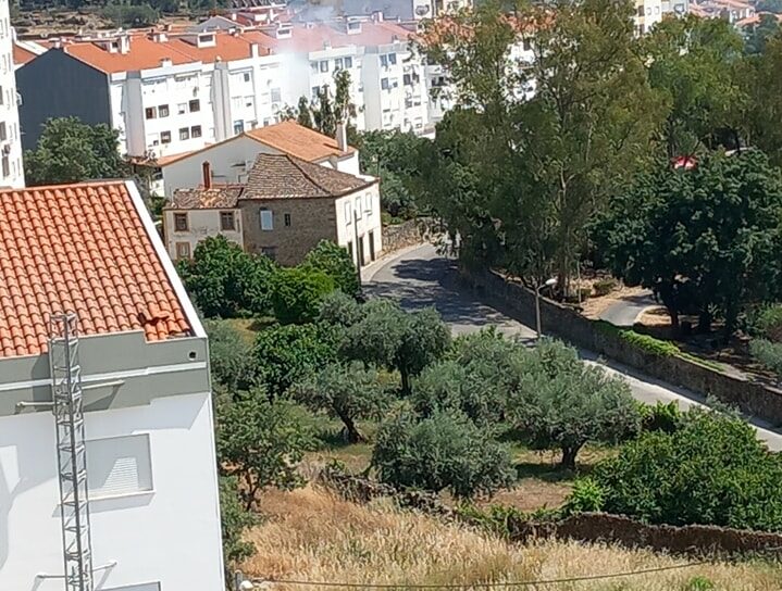 Fogo em terreno descampado resolvido em Castelo Branco