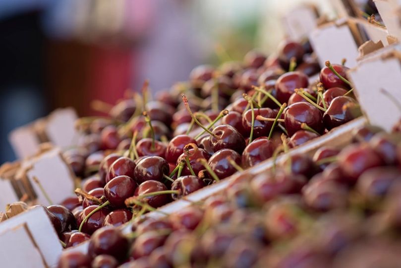 Fundão: Um quilo de cerejas por 660 euros