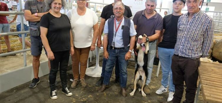 Fundão em destaque na Ovibeja