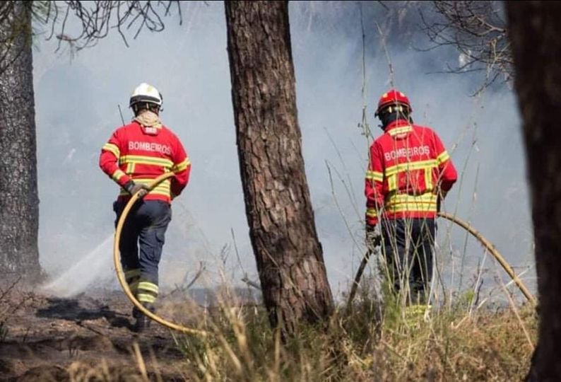 Governo reforça equipas de combate aos incêndios rurais