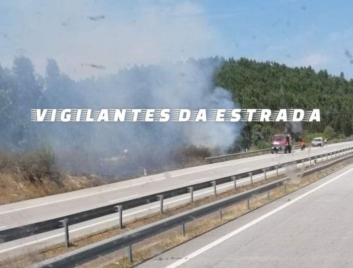 Incêndio em zona de mato deflagra em Fratel