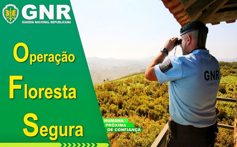 Operação Floresta Segura