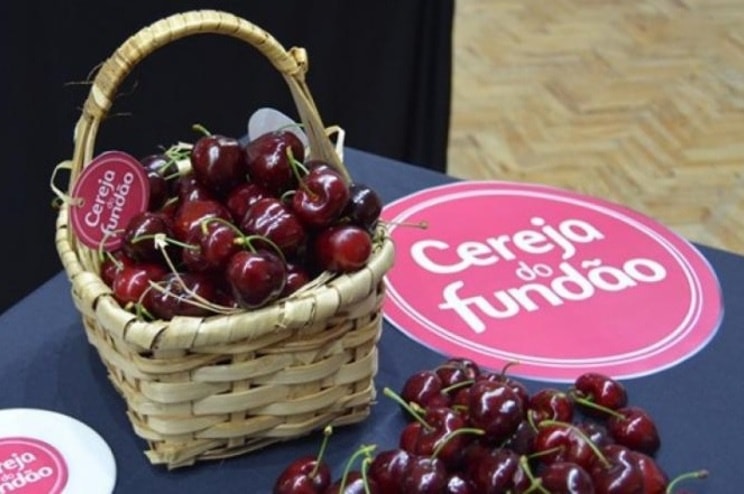 Produção de cereja com quebras até 70% devido ao clima