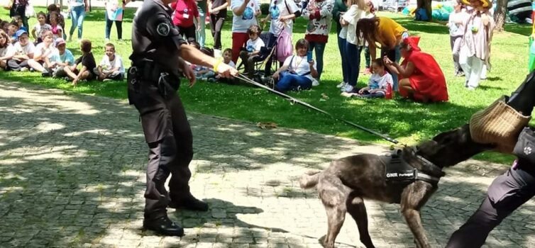 Sertã