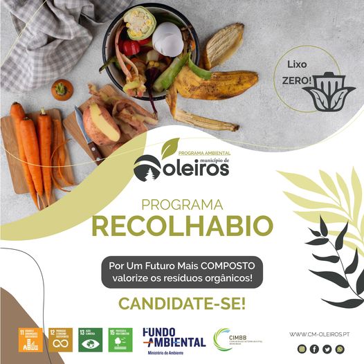 Oleiros