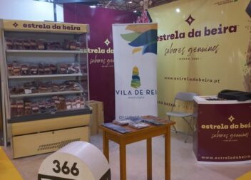 Vila de Rei