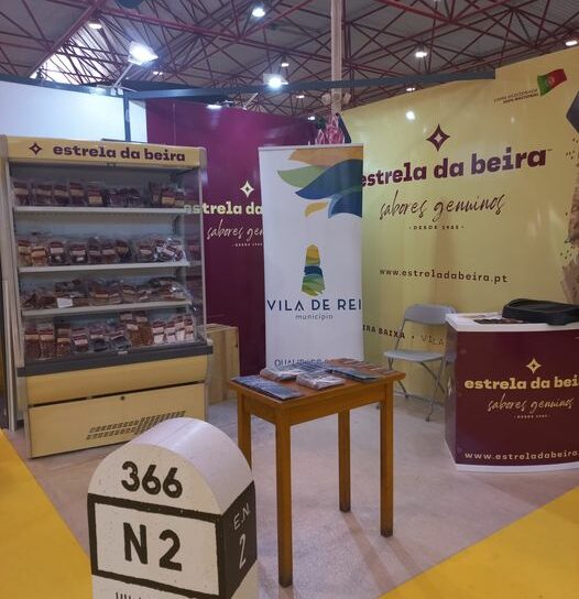 Vila de Rei