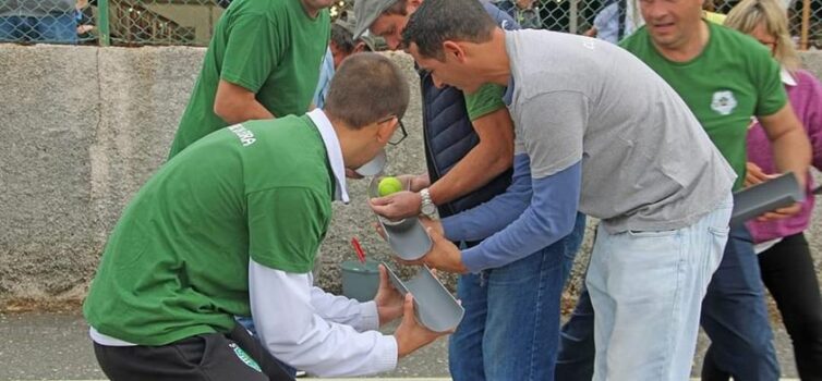 Proença-a-Nova
