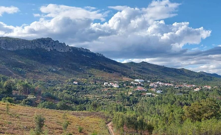 Oleiros