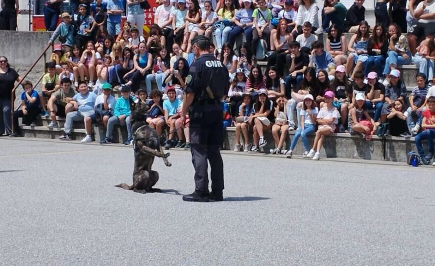 Belmonte