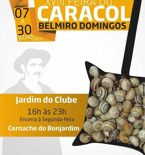 Sertã