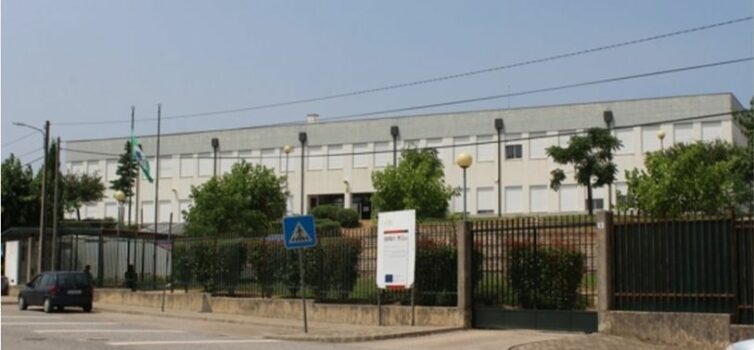 Vila de Rei