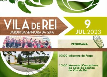 Vila de Rei