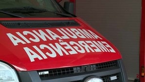Atropelamento registado na Sertã