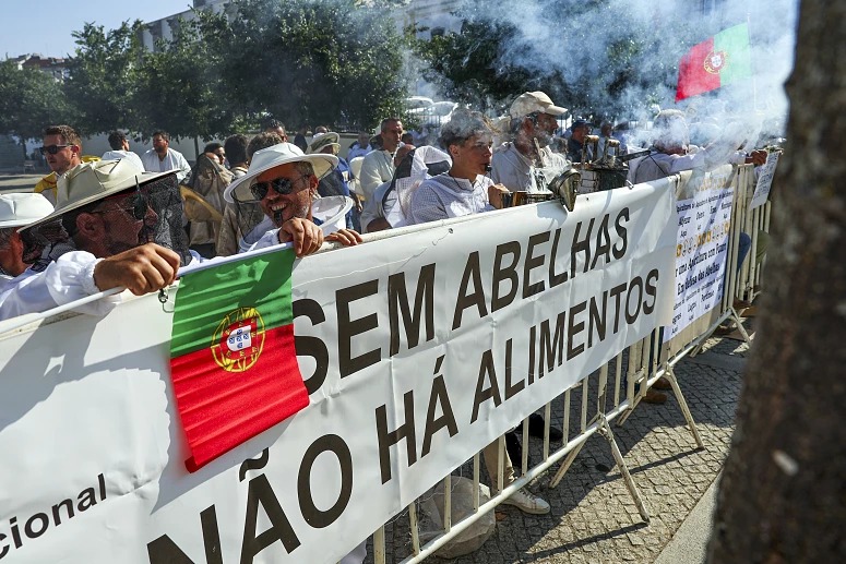 Beira Baixa