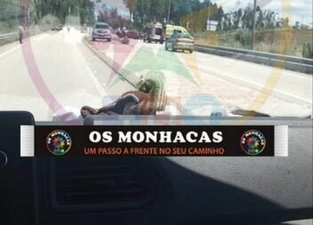 Idoso fica ferido em acidente na Sertã