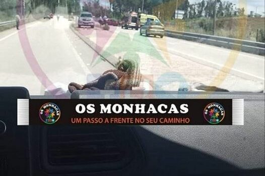 Idoso fica ferido em acidente na Sertã