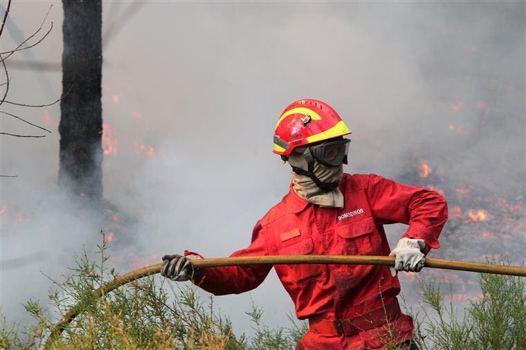 O IPMA colocou Castelo Branco, Portalegre em perigo muito elevado de incêndio.