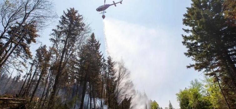 Operacionais portugueses que combateram incêndios no Canadá regressam esta quint