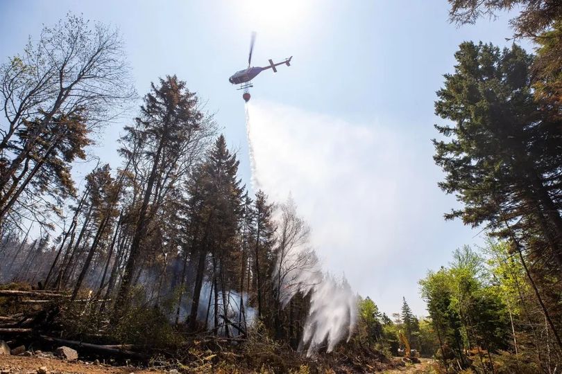 Operacionais portugueses que combateram incêndios no Canadá regressam esta quint