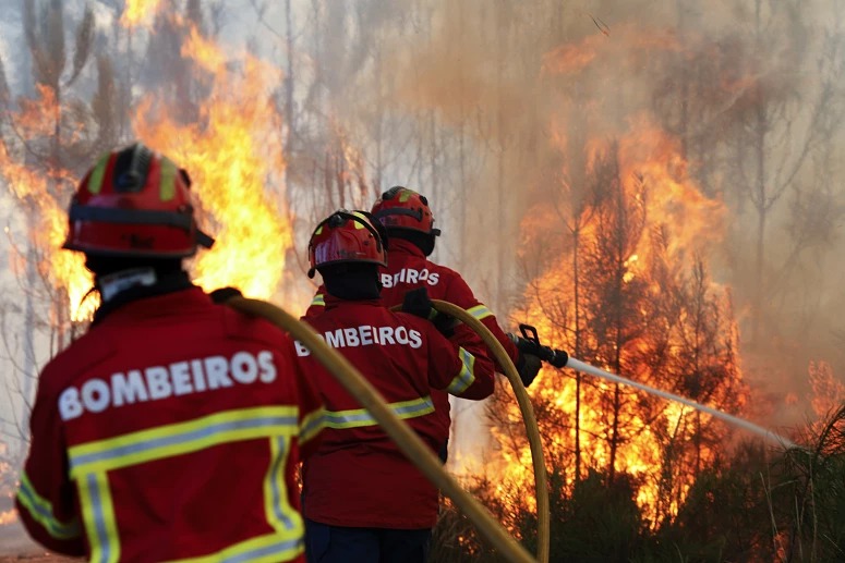 Três bombeiros da Beira Baixa partem amanhã para o Canadá para combater incêndio