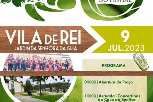 Vila de Rei
