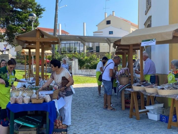 Vila de Rei