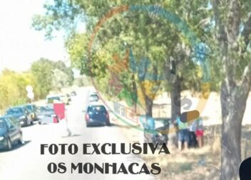 Automóvel embate contra árvore em Castelo Branco e faz um ferido