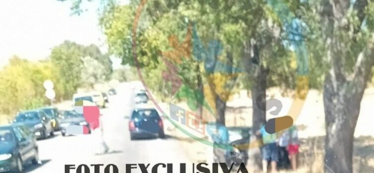 Automóvel embate contra árvore em Castelo Branco e faz um ferido