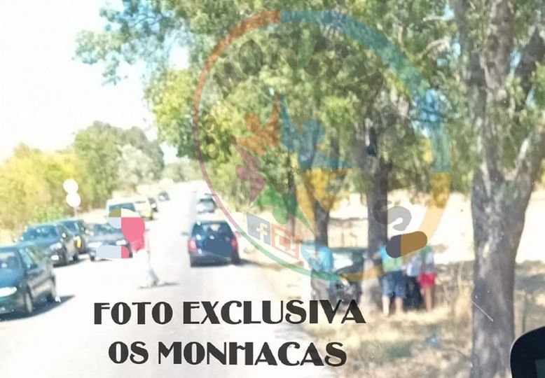 Automóvel embate contra árvore em Castelo Branco e faz um ferido