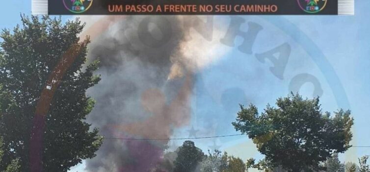 Camião arde no Ladoeiro
