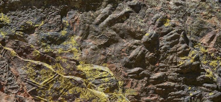 Castelo Branco tem 34 sítios de relevância geológica identificados