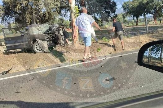 Colisão contra árvore faz um ferido grave em Ponte de Sor